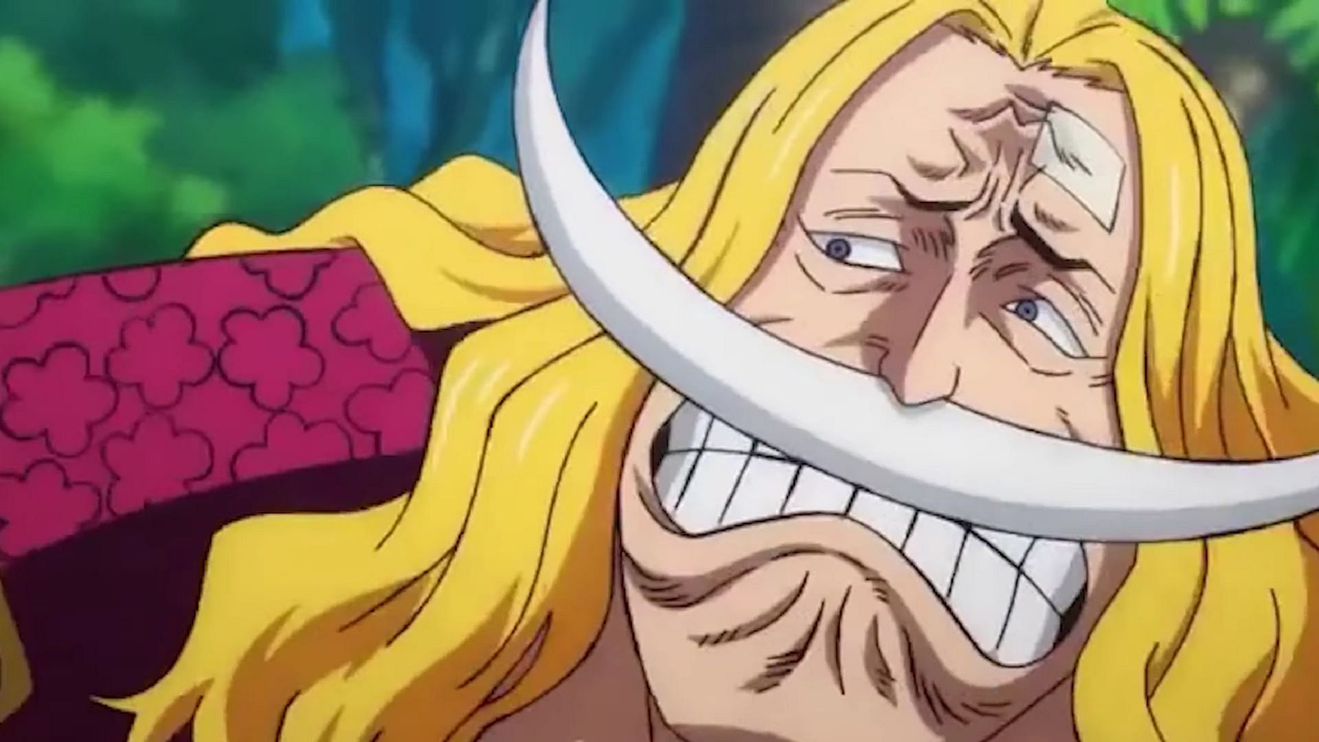 Whitebeard annoyed at Roger (Image via Toei Animation)