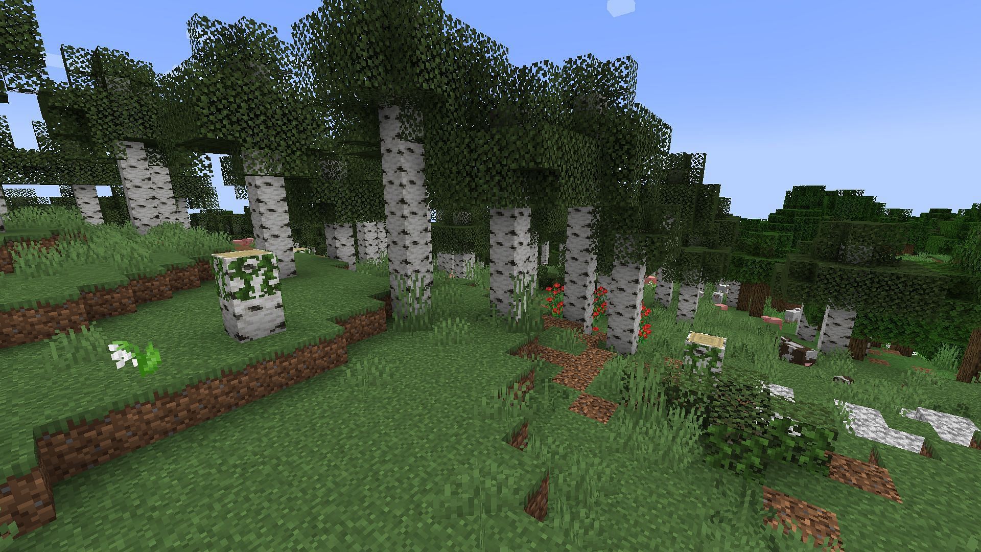 An updated Geophilic birch forest (Image via Mojang)