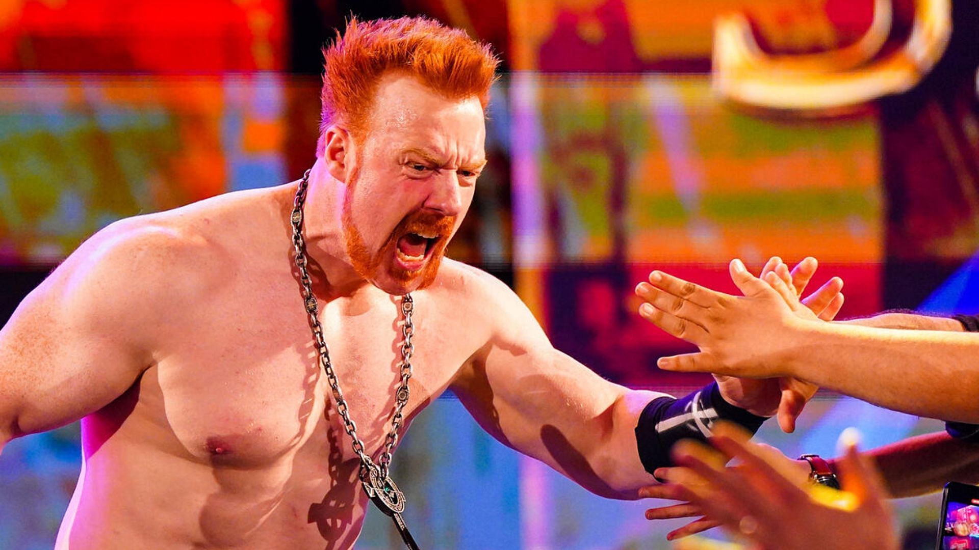 Sheamus performs on the red brand Monday nights [Photo credits: WWE]