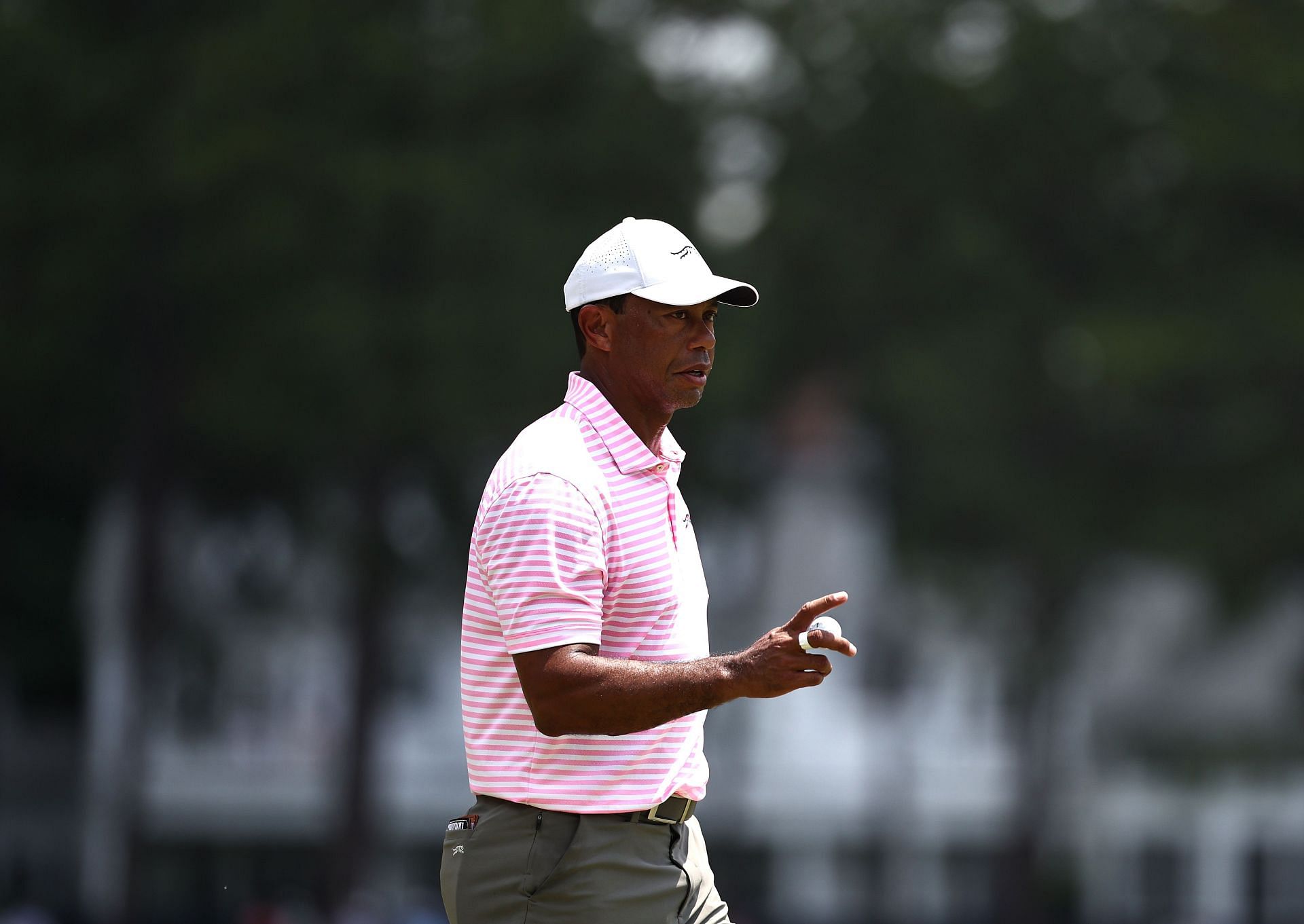 Tiger Woods is up for a lifetime exemption into Signature Events