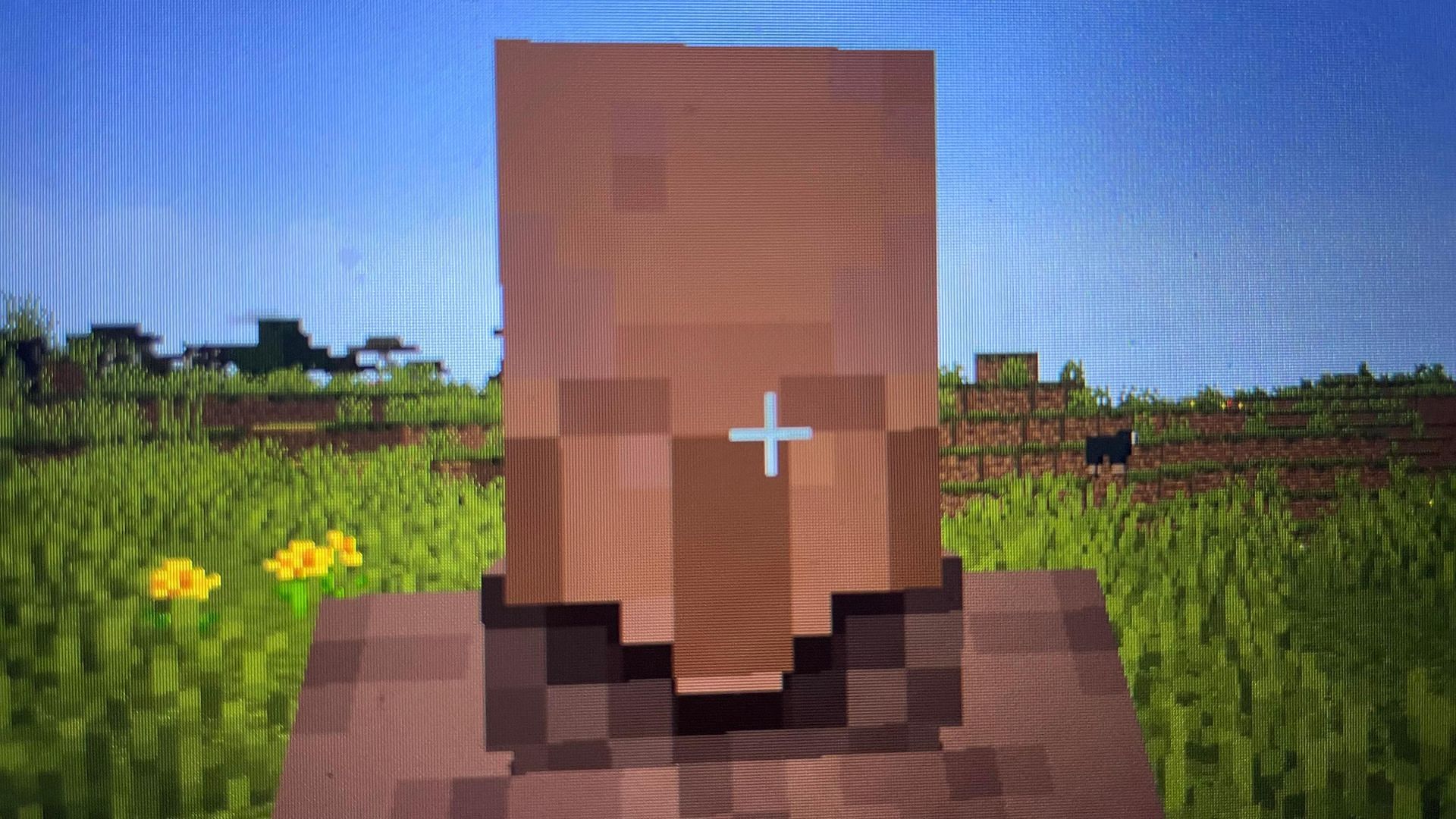 Minecraft scary glitch