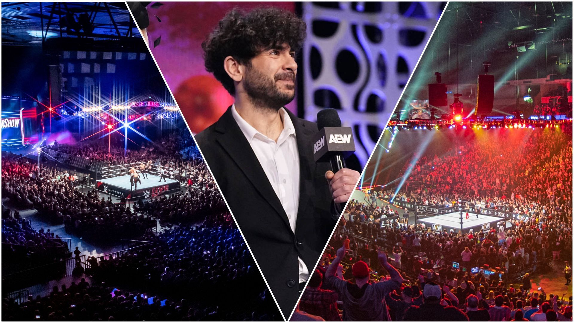 WWE fans at live event, AEW boss Tony Khan, AEW fans at Dynamite