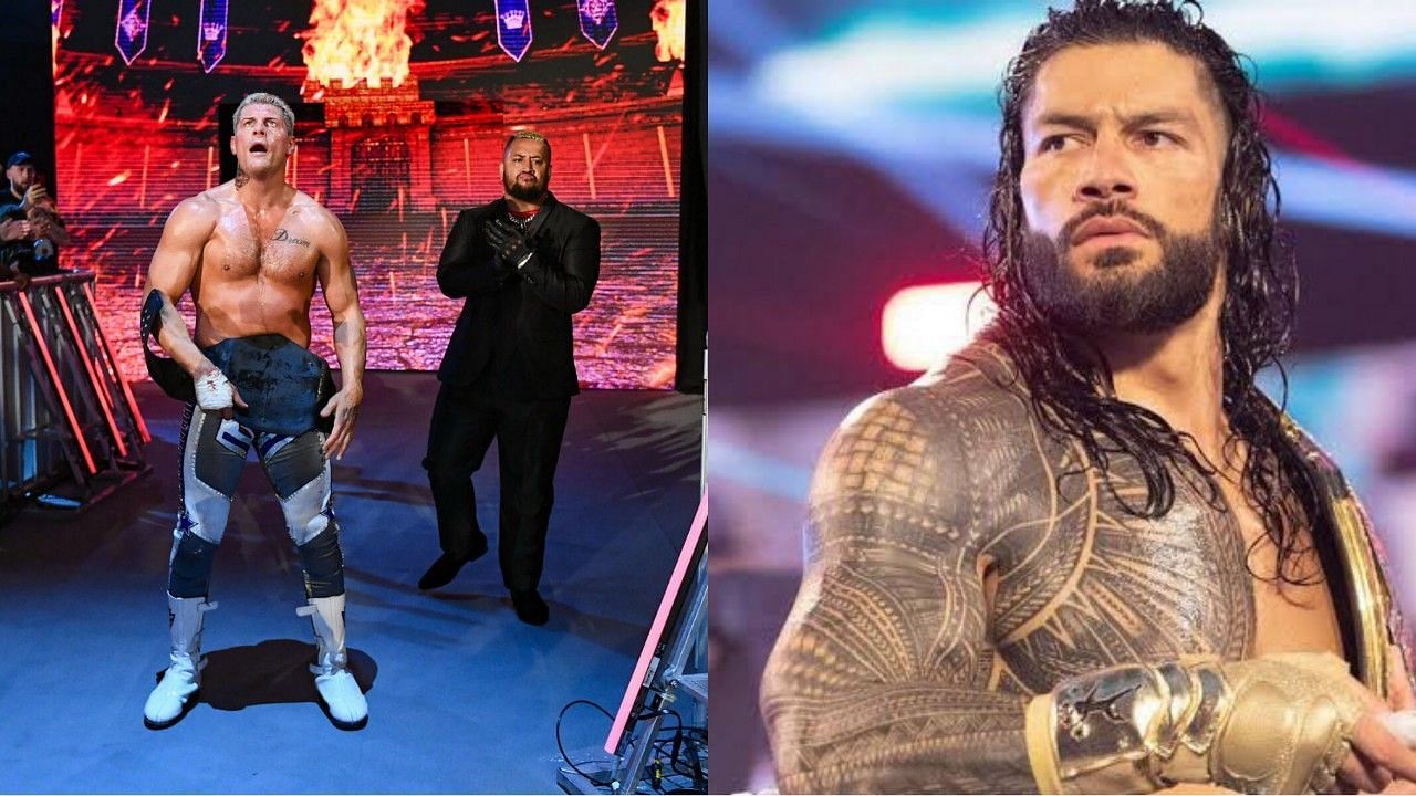 Roman Reigns, Money in the Bank 2024, Cody Rhodes, WWE, Solo Sikoa, Seth Rollins,