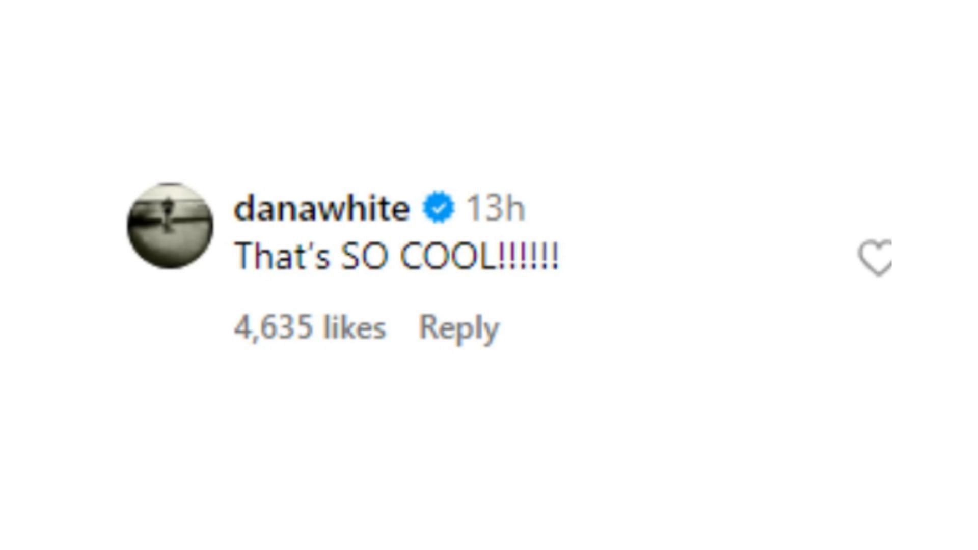 Dana White&#039;s Instagram comment