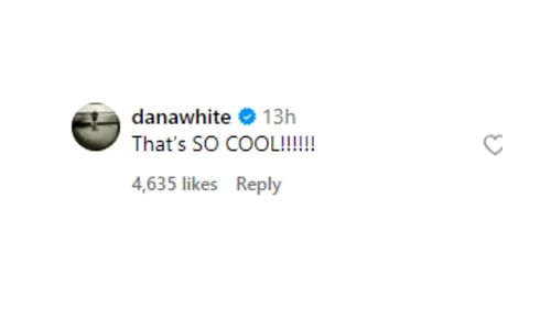 Dana White's Instagram comment