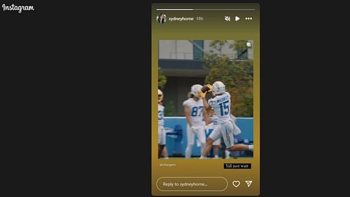 Sydney Horne's Instagram Story.