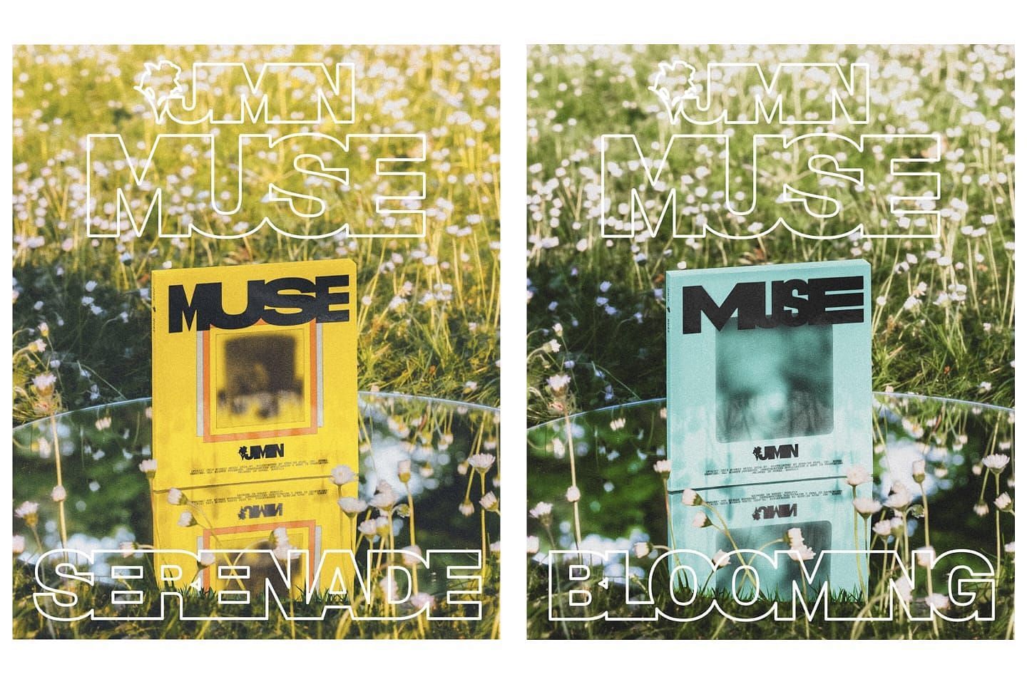  Fans ecstatic over BTS&rsquo; Jimin&rsquo;s Muse album cover designs, &lsquo;Blooming&rsquo; and &lsquo;Serenade&rsquo; (Image via Weverse)