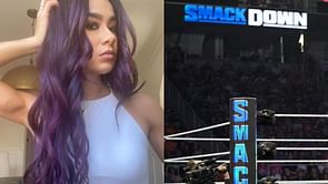 AJ Lee admits she "is in love" with a top WWE SmackDown star