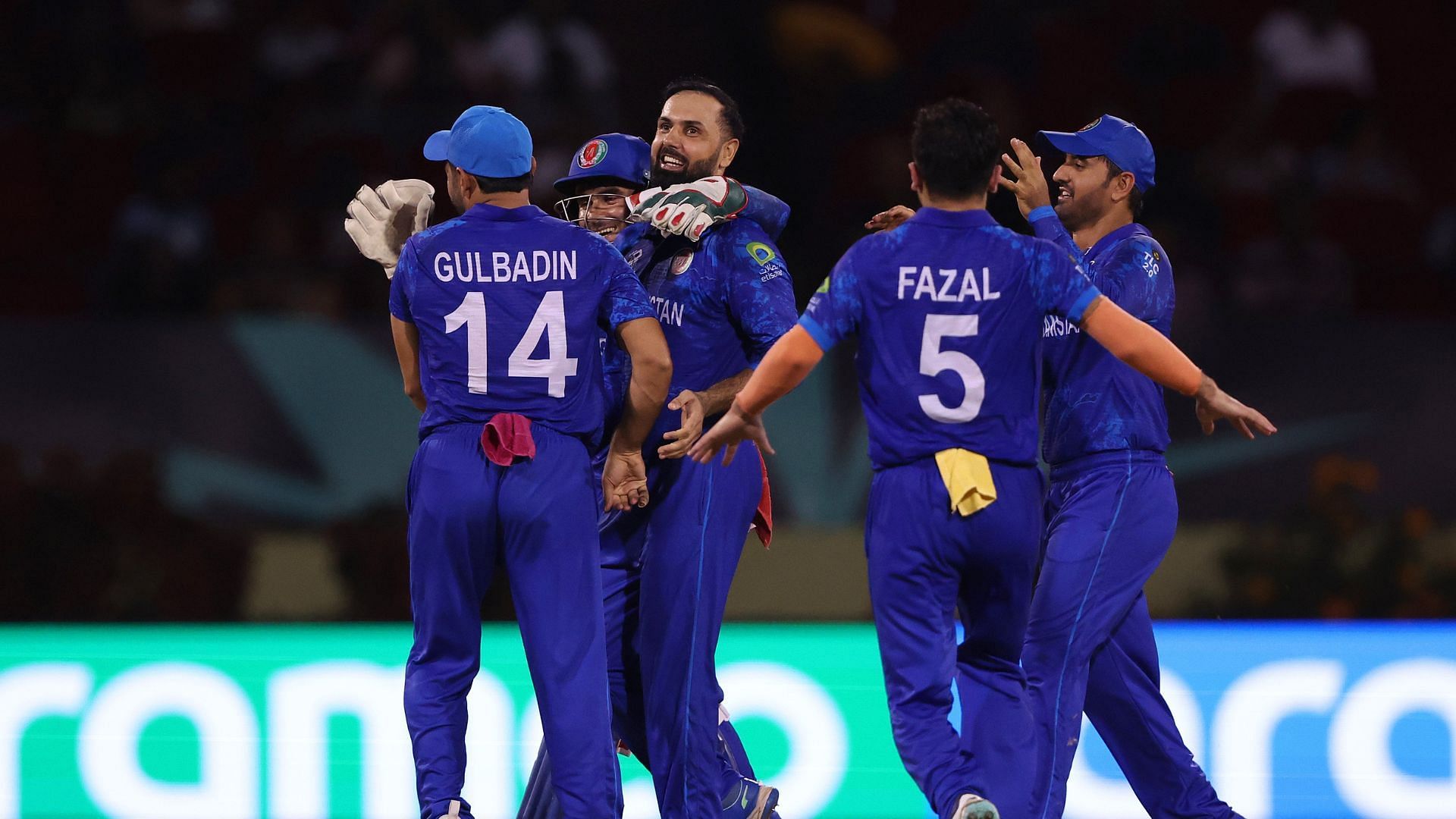 Afghanistan celebrate picking a wicket against New Zealand. 