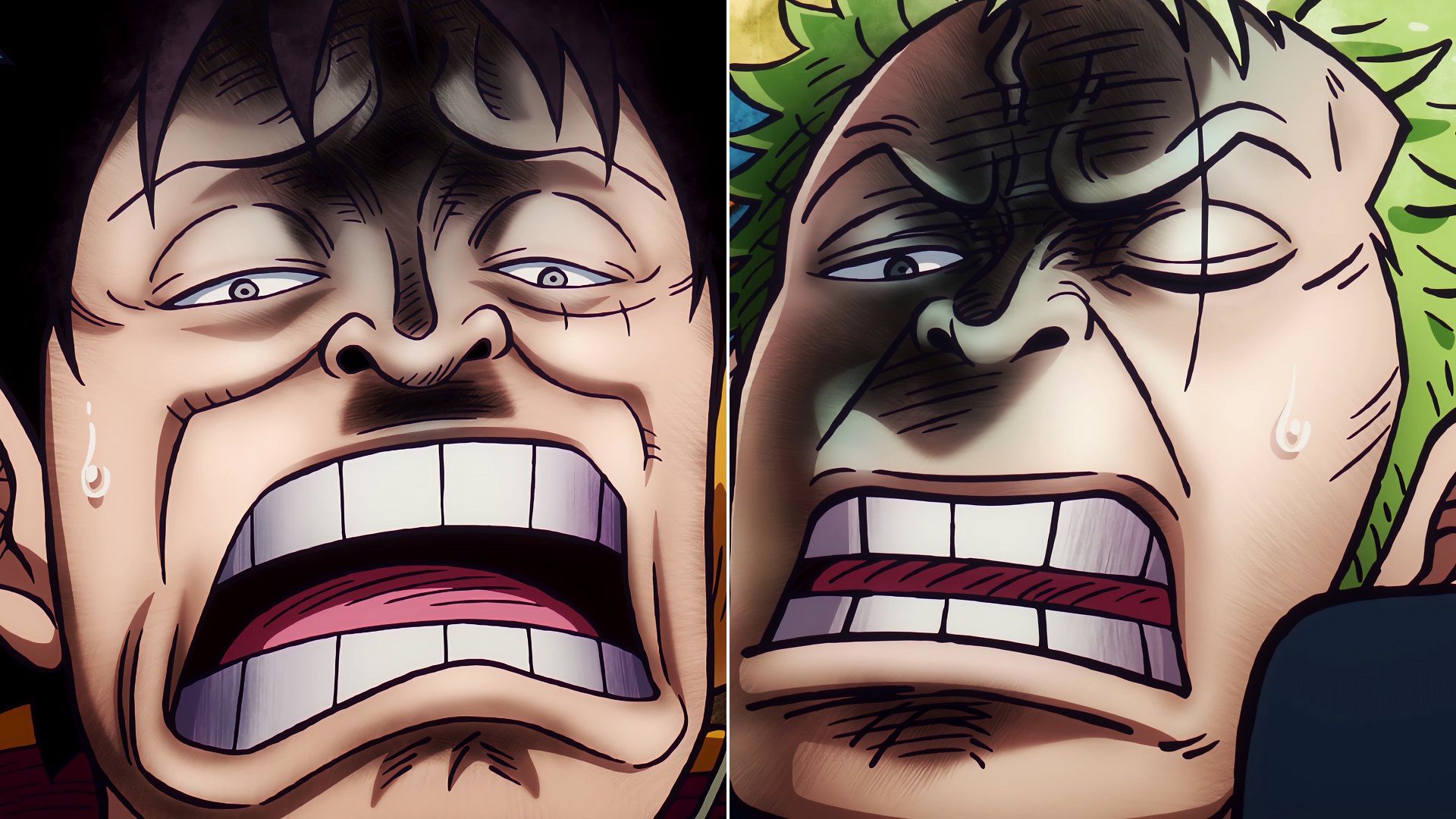 Every One Piece disgusted face before Luffy and Zoro in episode 1108