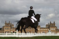 Paris Olympics 2024: Delhi High Court restrains EFI from selecting dressage rider Anush Agarwalla