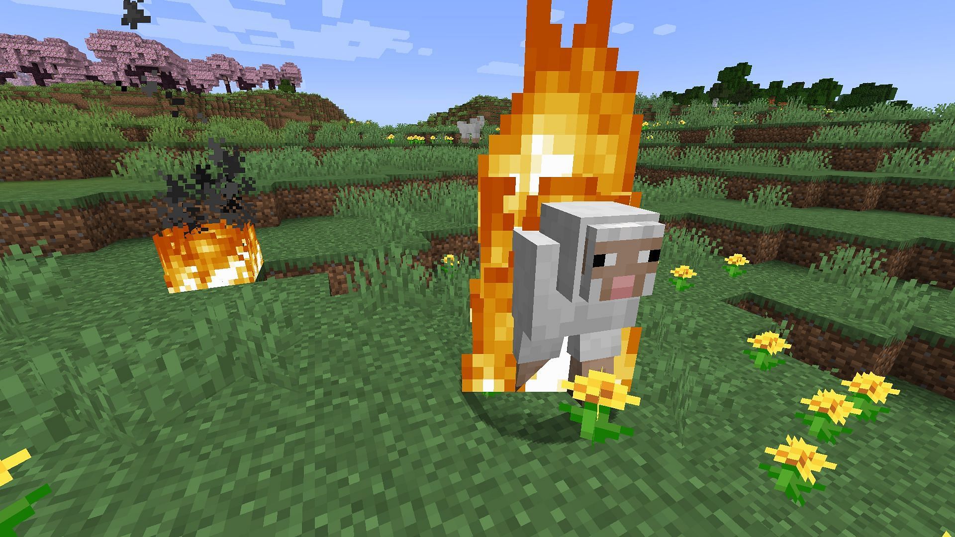 A burning sheep will drop cooked mutton instead of raw (Image via Mojang)