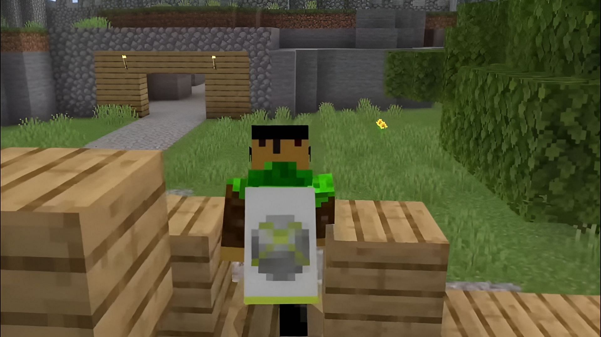 The Legacy Console Editions only had a few capes of note (Image via Mojang)