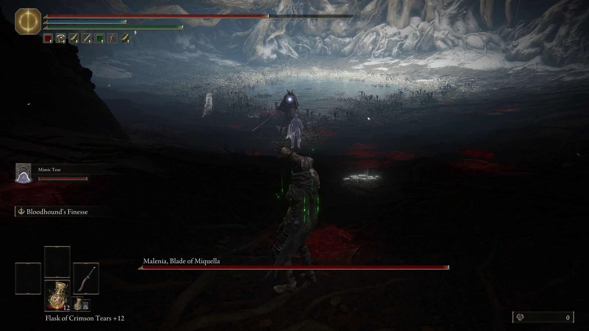 Ashen summons can be a lot of help against some of the hardest end-game bosses (Image via FromSoftware)