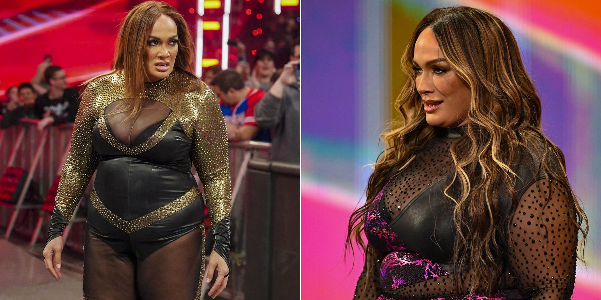 A WWE veteran took a major shot at Nia Jax (Images via WWE on Instagram and WWE.com)