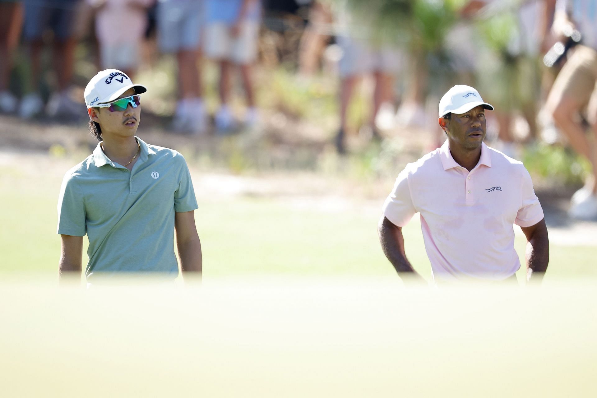 Min Woo Lee and Tiger Woods at the 2024 U.S. Open - Preview Day Two (Image via Alex Slitz/Getty Images)