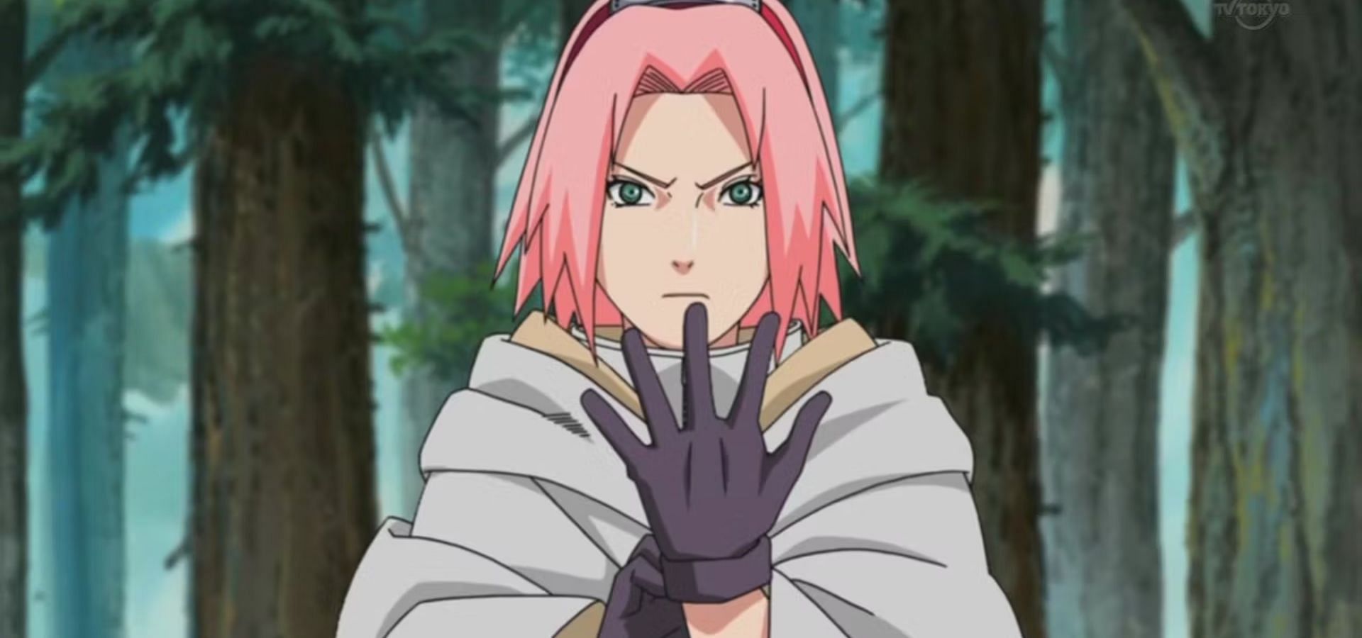 Sakura Haruno (Image via Pierrot)