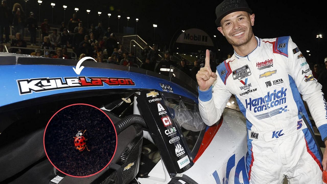 Kyle Larson and Ladybug (Image source Getty and Kyle Larson/Instagram)