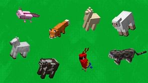 50 best names for Minecraft pets