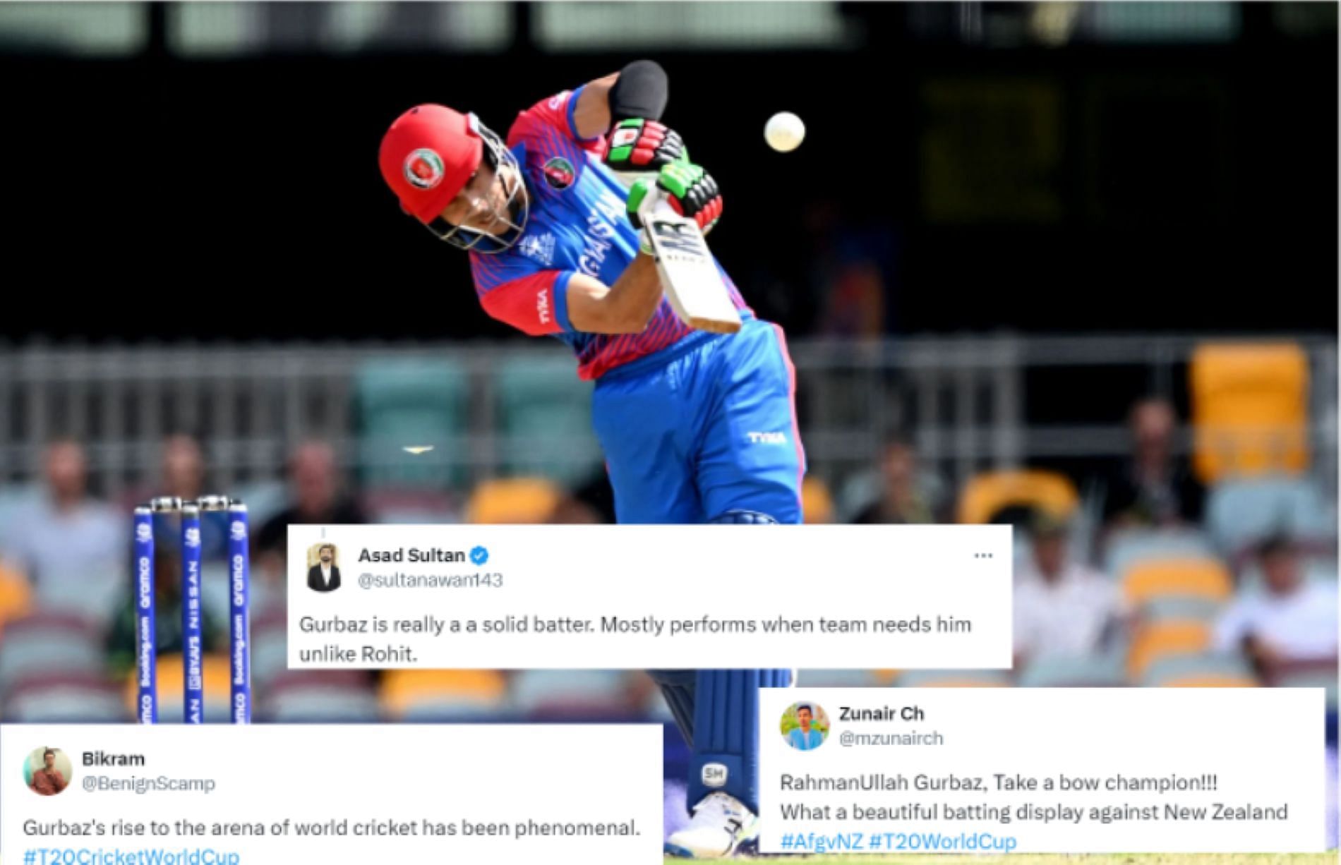 Gurbaz propeled Afghanistan to a solid total against New Zealand