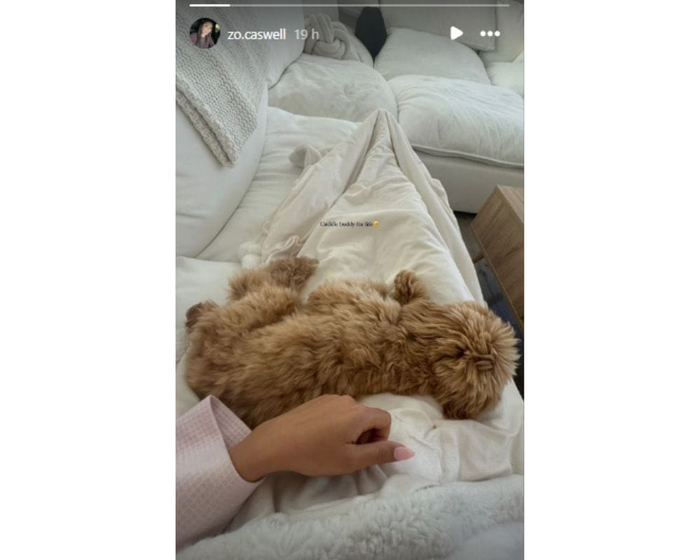 Zo Caswell: PHOTO: Oregon QB Dillon Gabriel’s GF shares snap with her ...