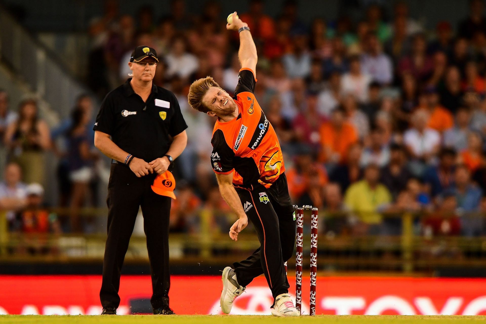 BBL - Scorchers v Renegades