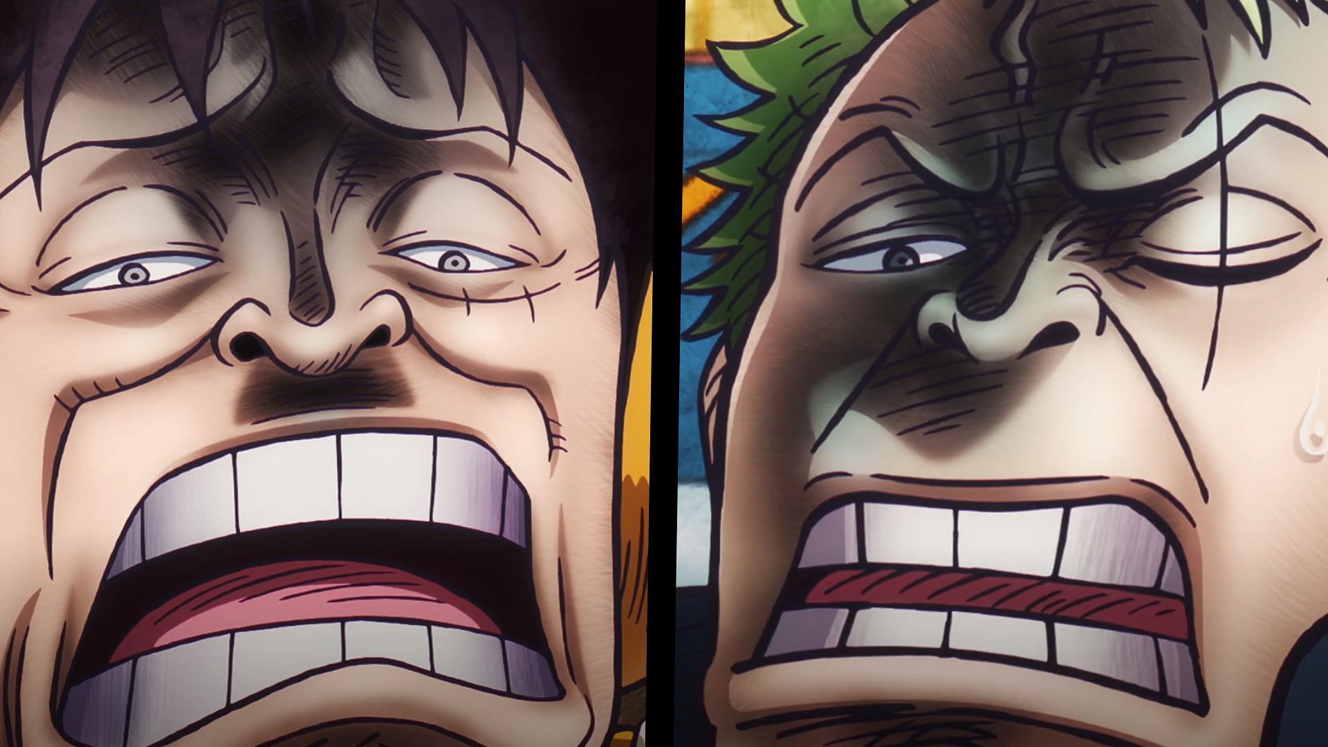 Luffy and Zoro as seen in One Piece episode 1108 (Image via Toei)