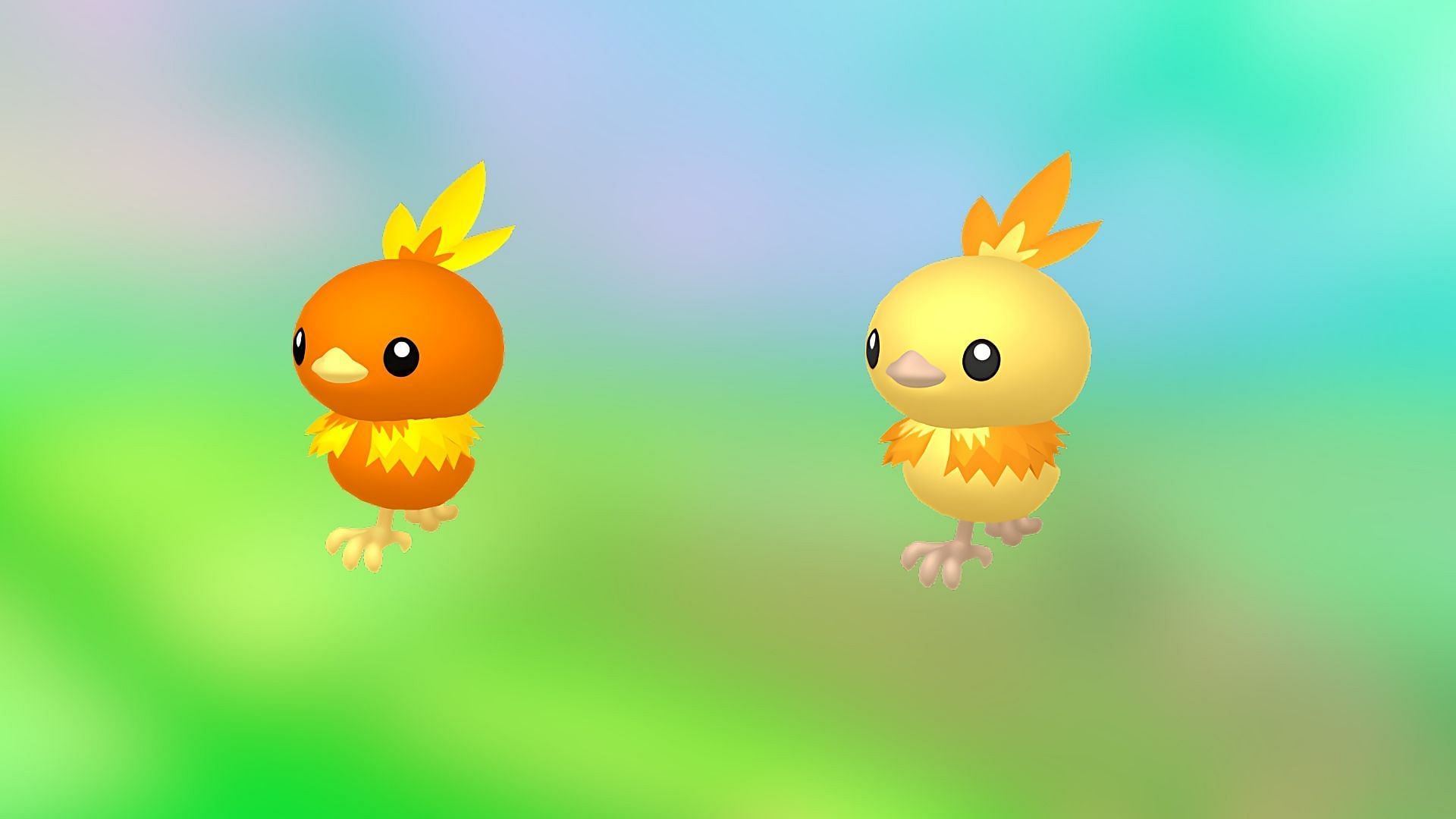 Torchic and shiny Torchic (Image via TPC)