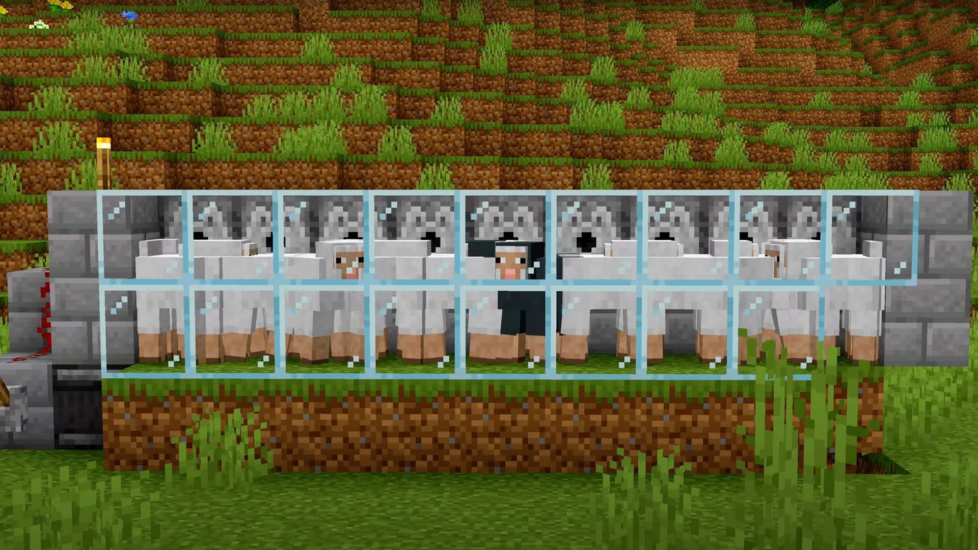 An automatic wool farm (Image via Beef and Cheese/YouTube)