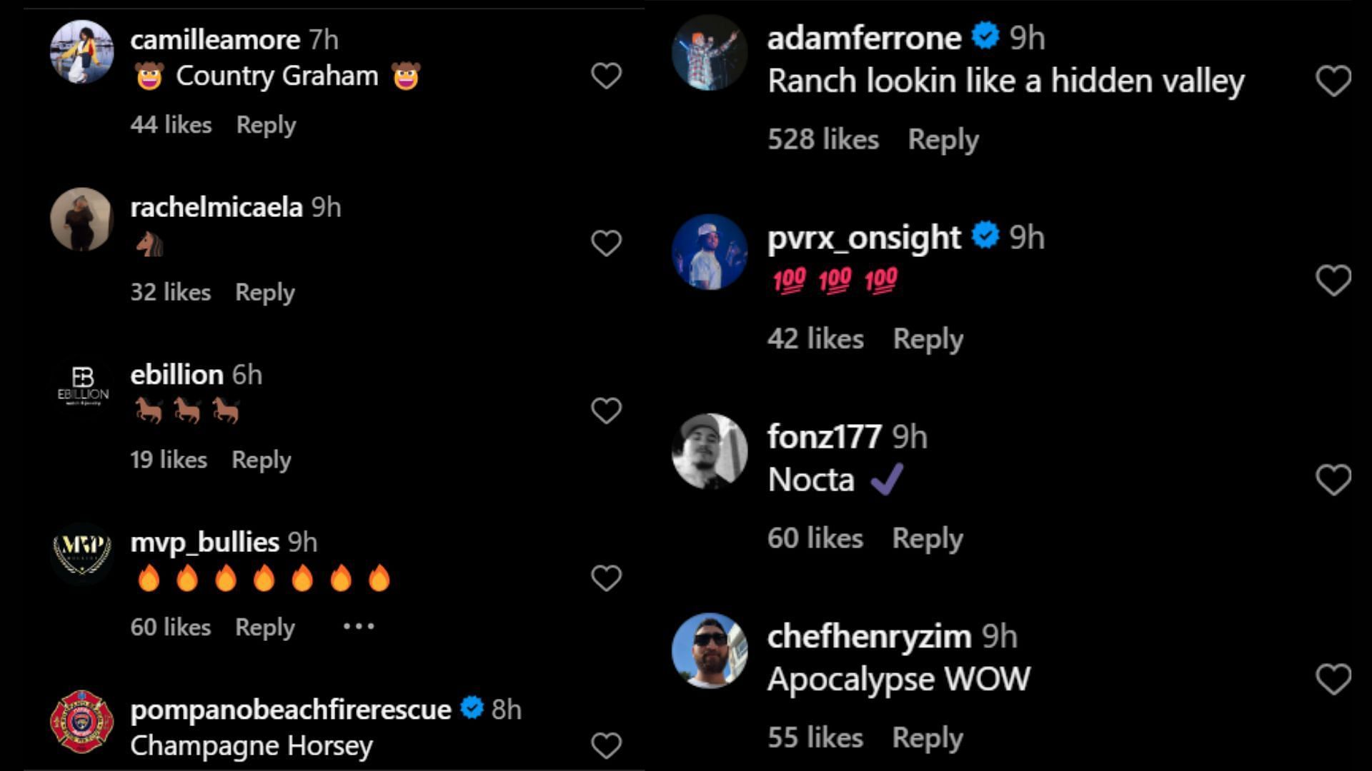 Drake&#039;s comment section (Image via Instagram/@champagnepapi)