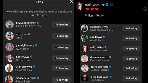 A screengrab of reactions on Nikki Cross' Instagram update.