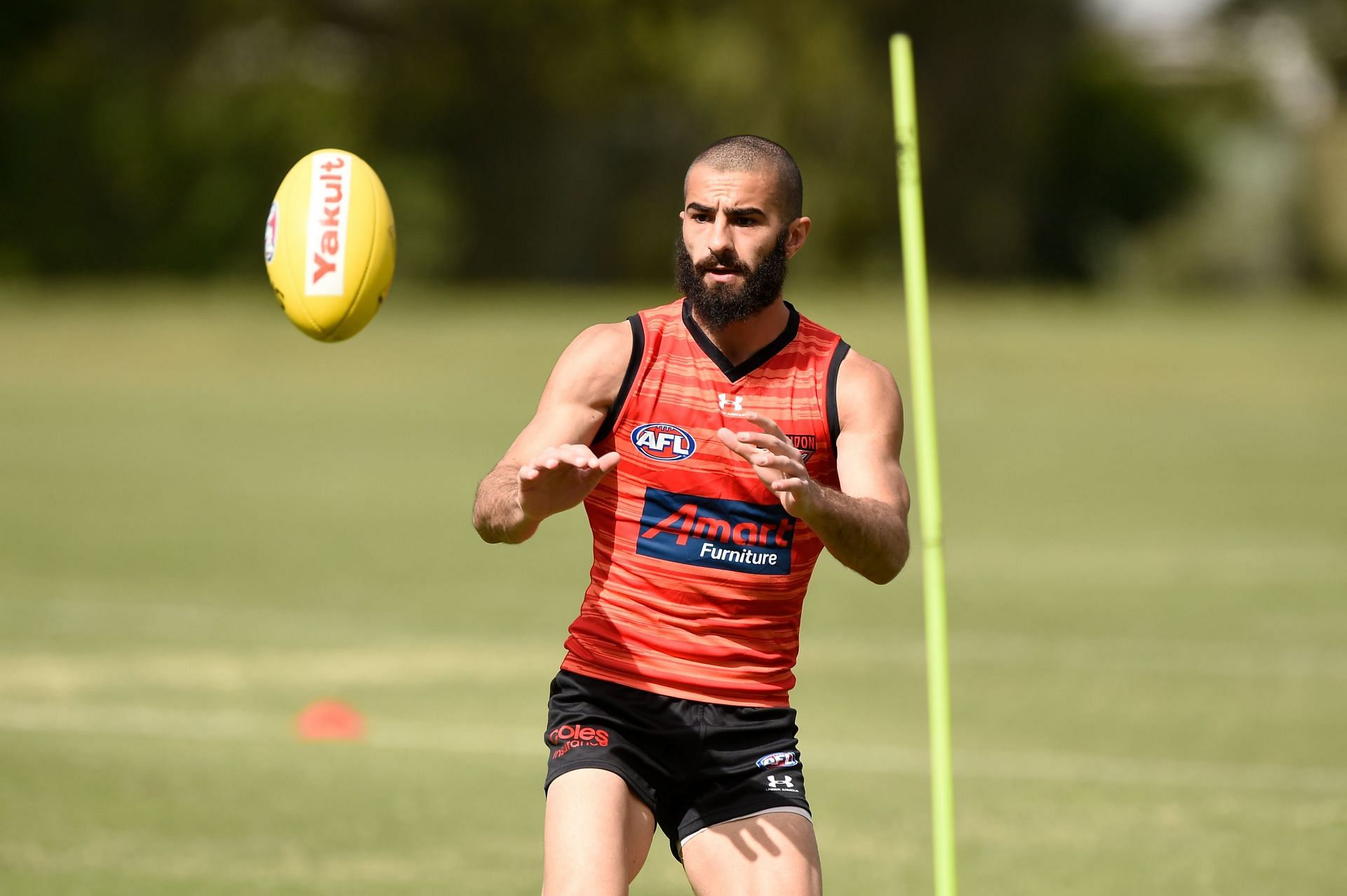 Essendon Bombers Training Session