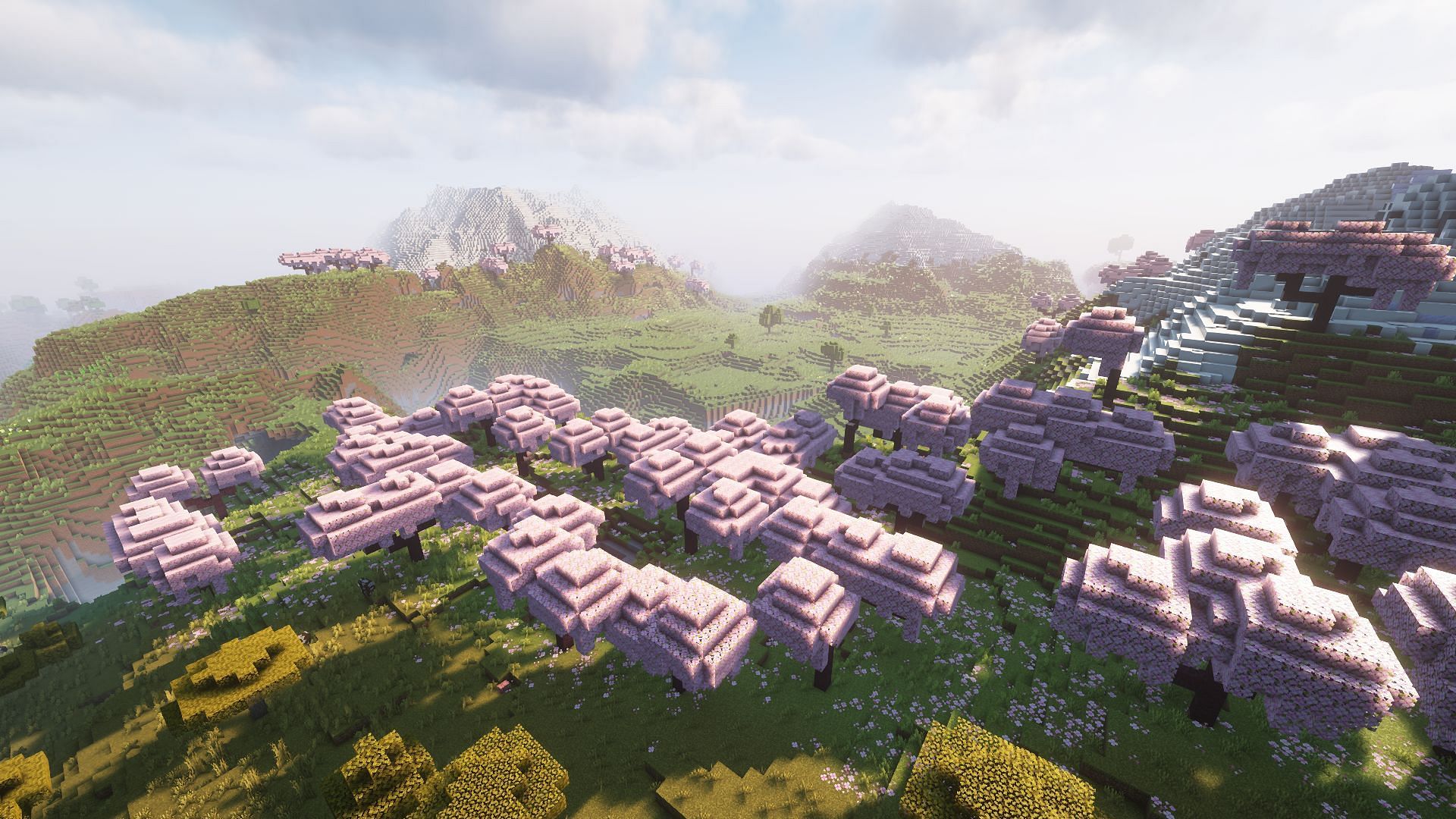 A cherry valley found on the seed (Image via Mojang)