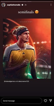 Sophia Thomalla's Instagram story