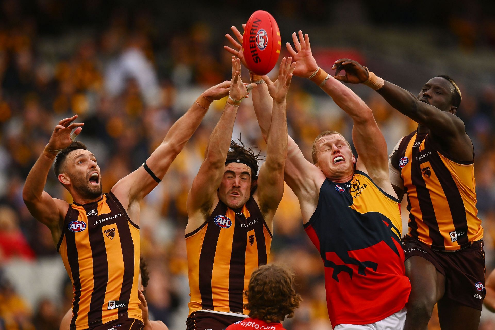 AFL Rd 12 - Hawthorn v Adelaide