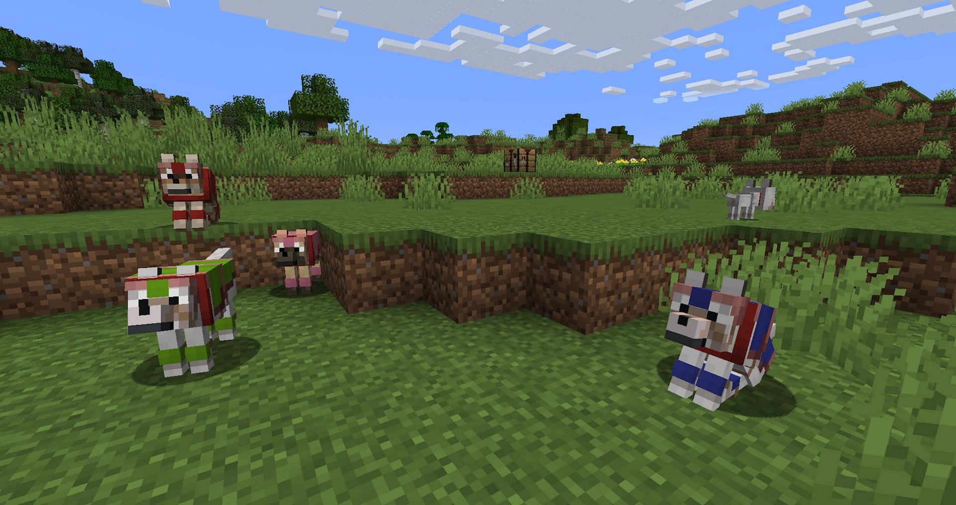 A pack of tamed wolves in armor (Image via Mojang)