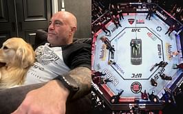 Joe Rogan argues that IVs are beneficial and UFC is "stupid" for not allowing athletes to use them for rehydrating: "Because of the fear"