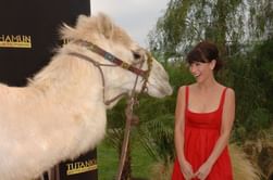 6 best Jennifer Love Hewitt movies of all time