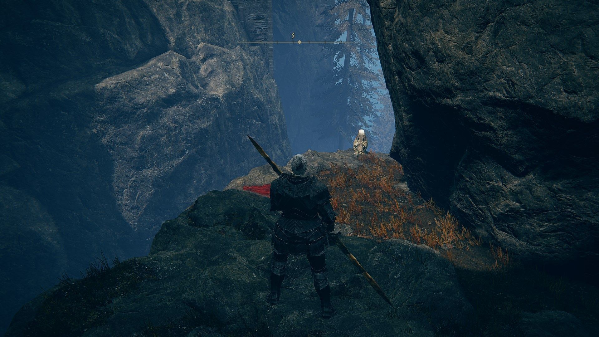 Follow the right-side pathway along the cliff to find the Starlight Shards (Image via FromSoftware)