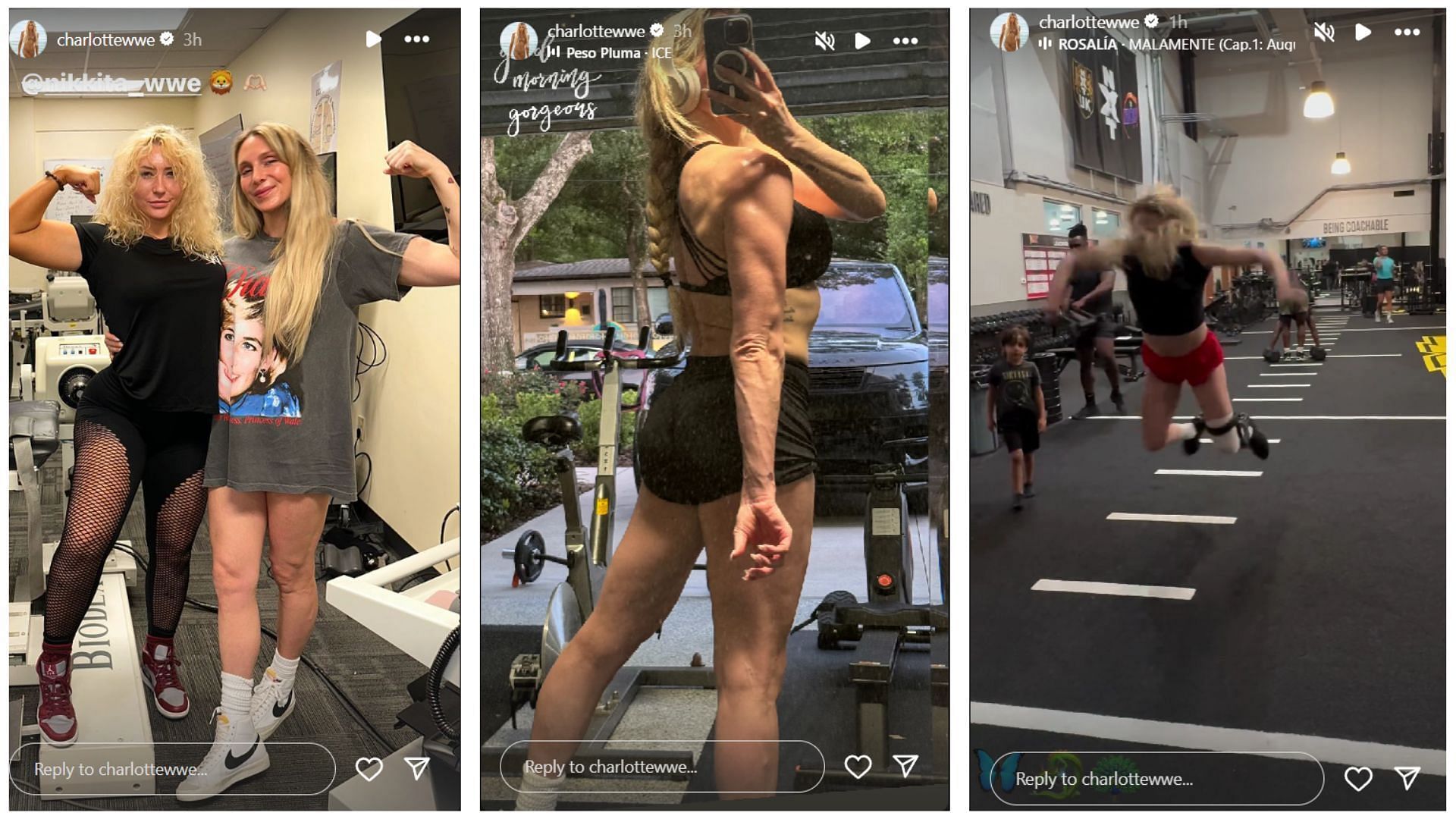 The Queen&#039;s Instagram stories [Photo credits: Screengrabs from Charlotte Flair&#039;s Instagram stories]