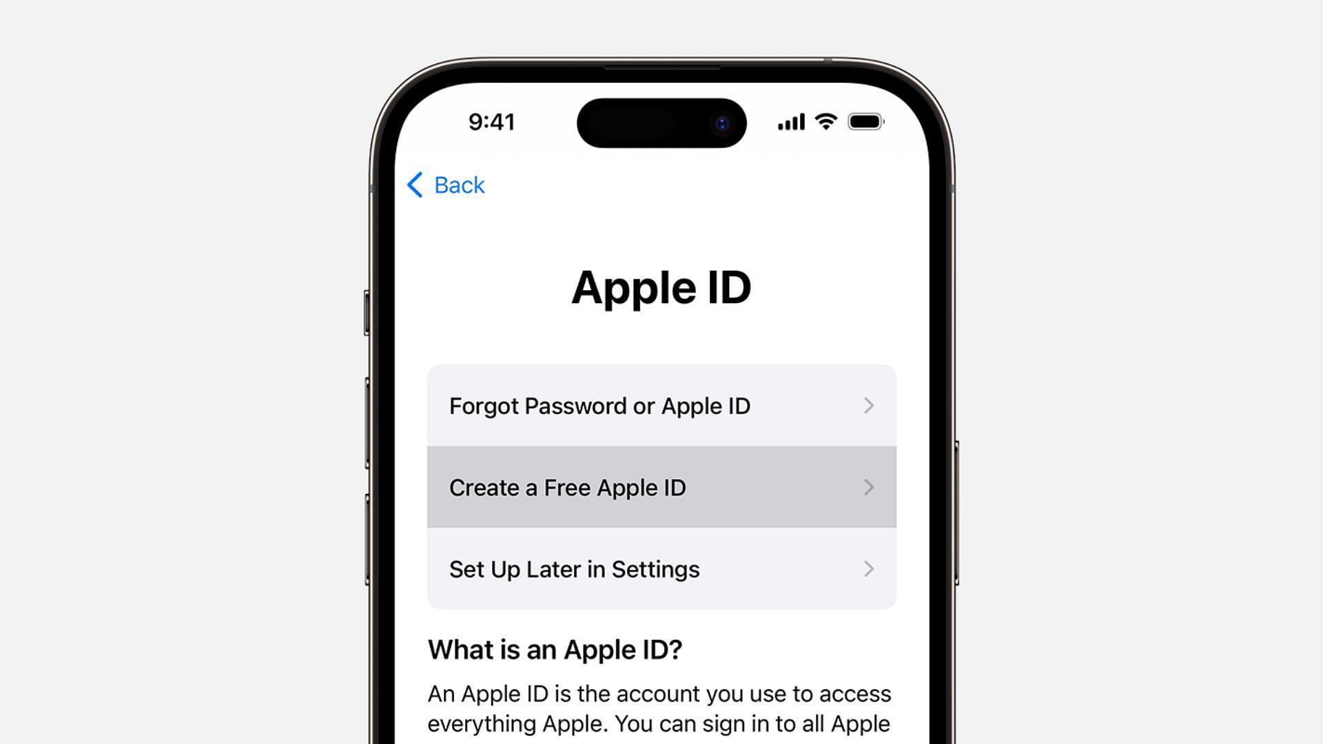 Apple ID Password