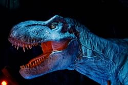Scarlett Johansson is excited to be starring in the next Jurassic Park film