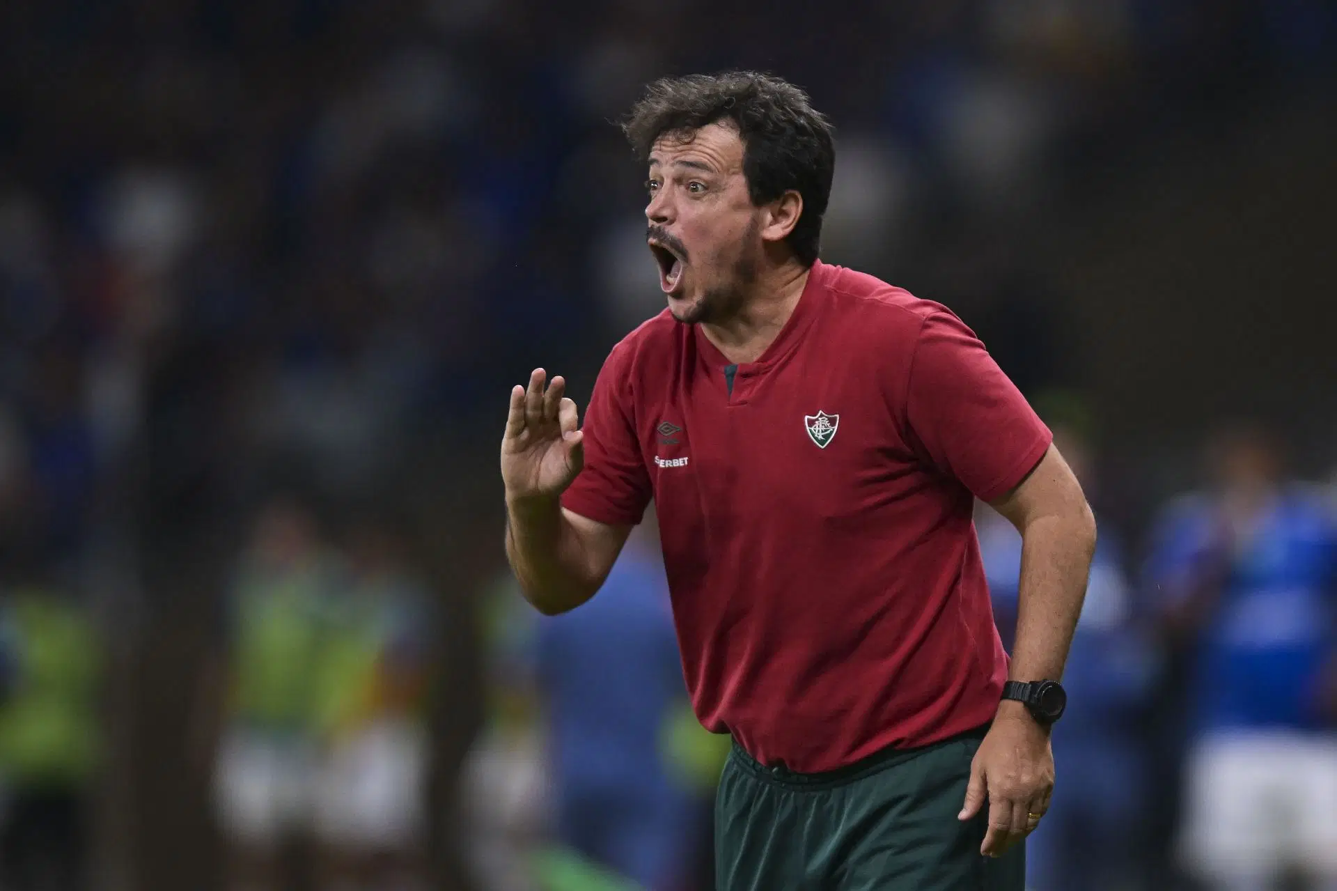 Cruzeiro v Fluminense - Brasileirao 2024