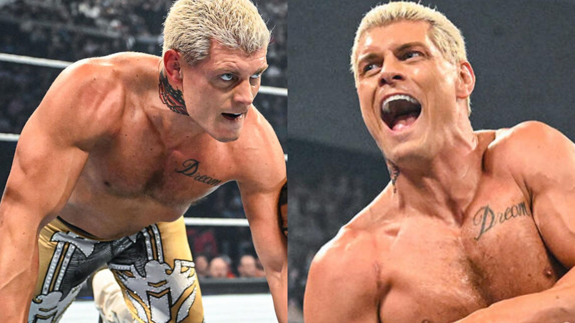 Undisputed WWE Champion Cody Rhodes (Image credit: WWE.com)