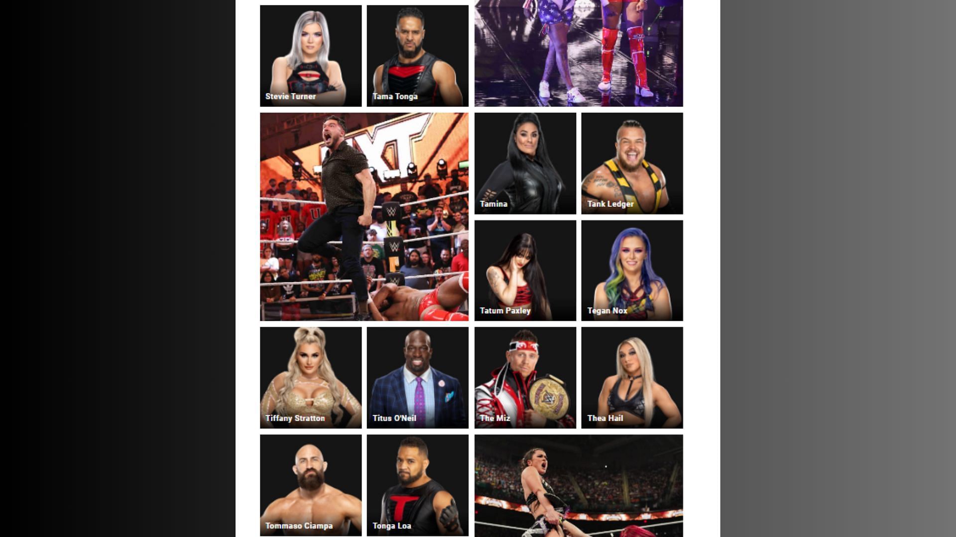 Both the stars have had their names added to the current roster page. [Image credits: wwe.com]