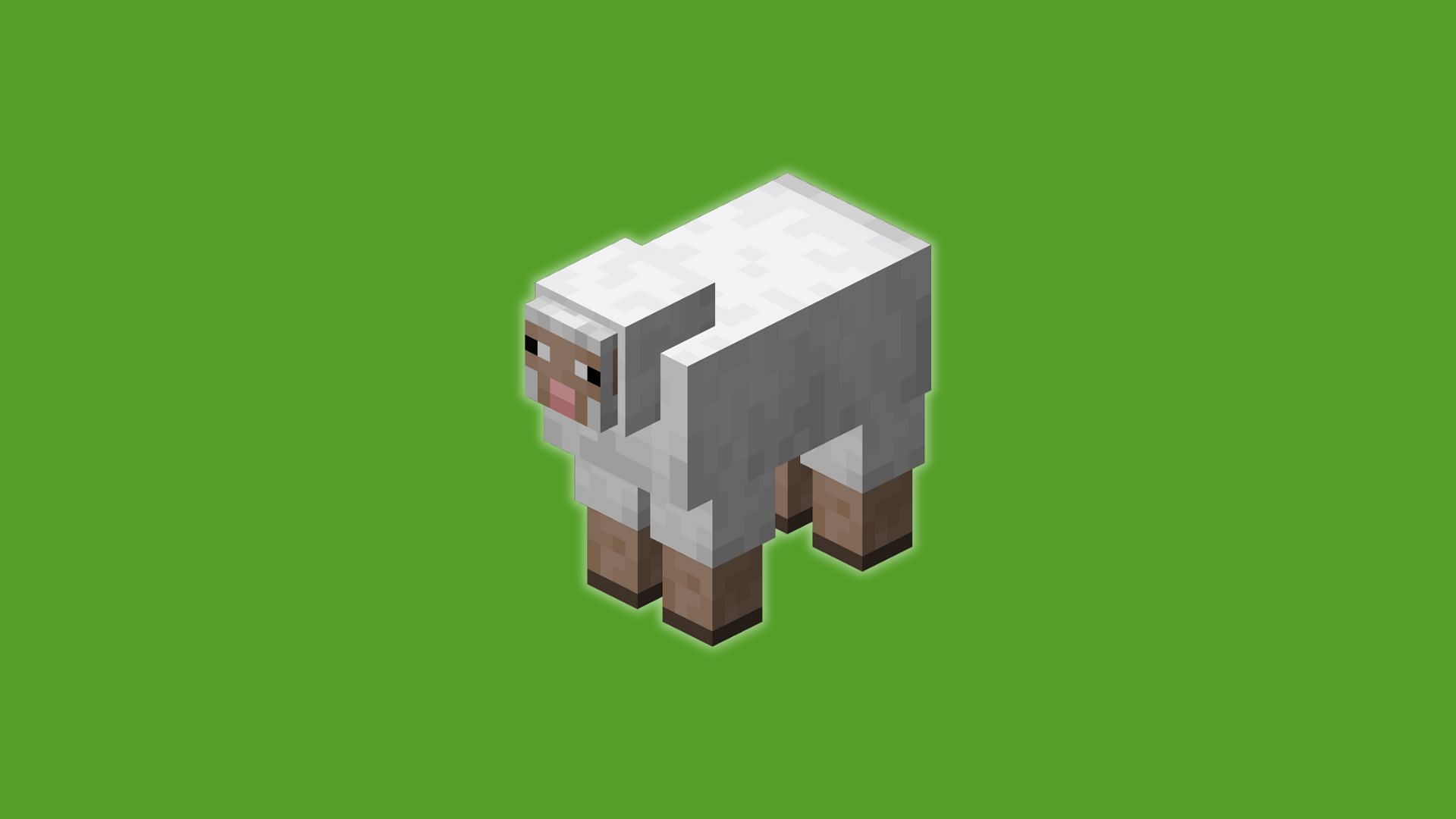 The sheep in the game (Image via Mojang Studios)