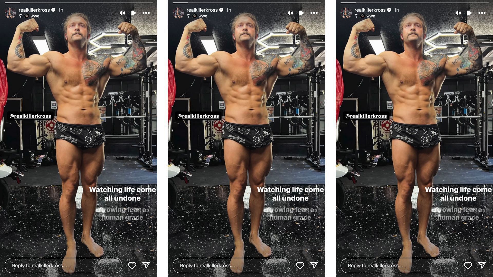 Kross shows off body transformation on Instagram. [Photo credit: WWE&#039;s Instagram]