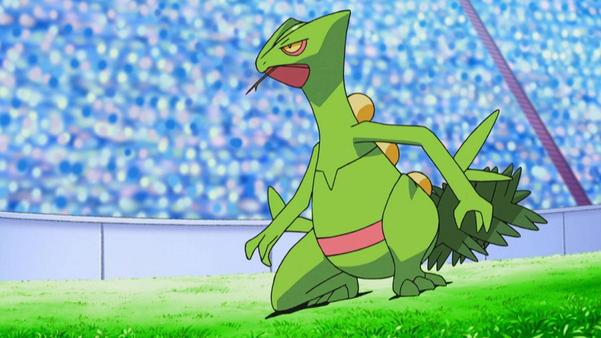 Sceptile in anime (Image via TPC)