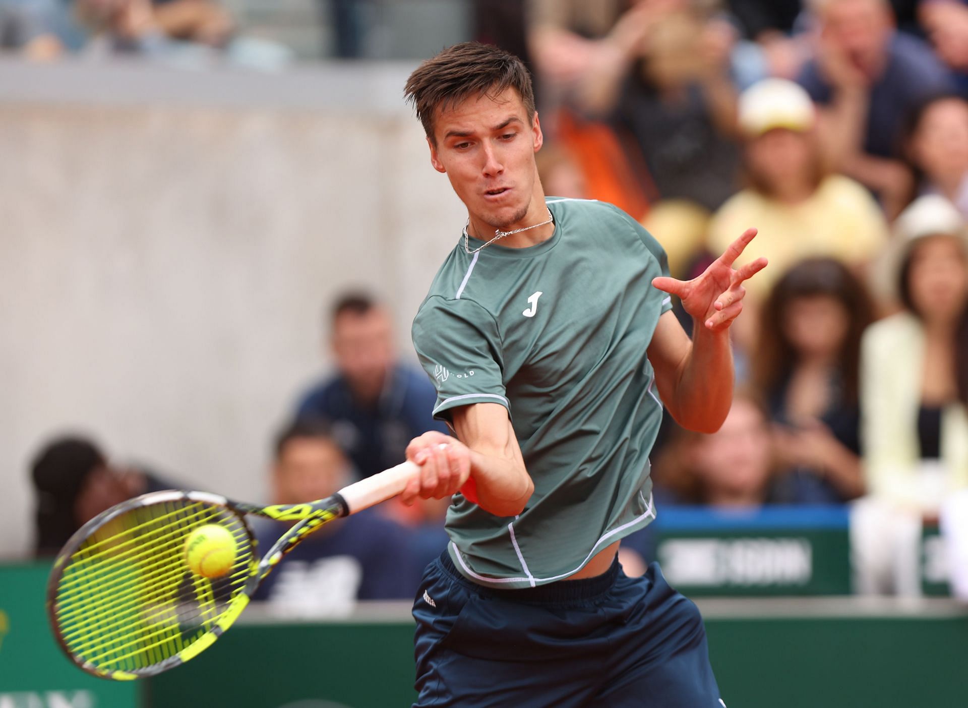 Fabian Marozsan at the 2024 French Open - Getty Images