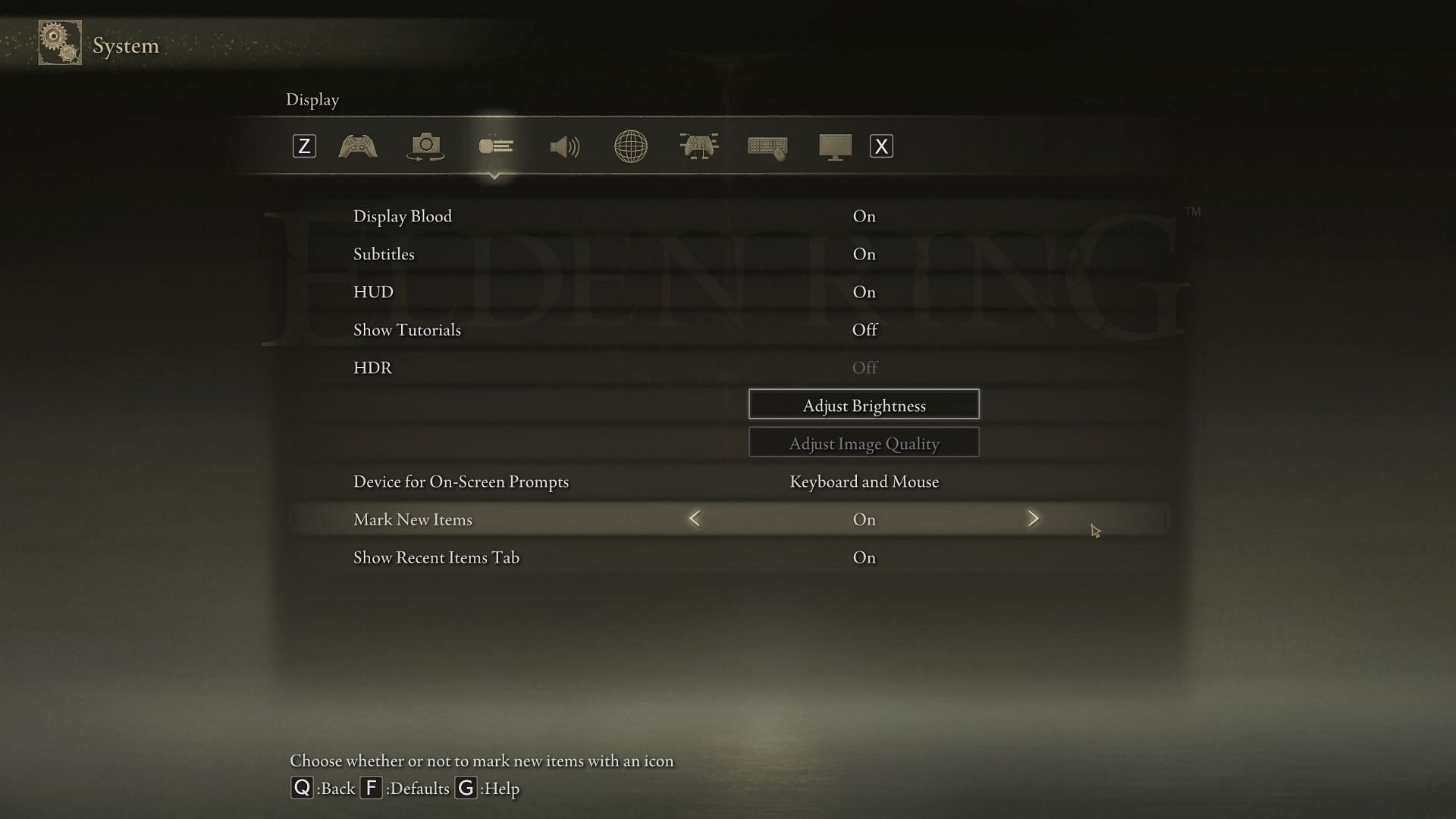 Enable the Mark New Items &amp; Show Recent Items Tab options from the System settings. (Image via FromSoftware)